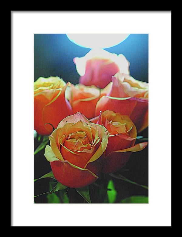 Pinki and Orange Rose Bouquet With Light - Framed Print