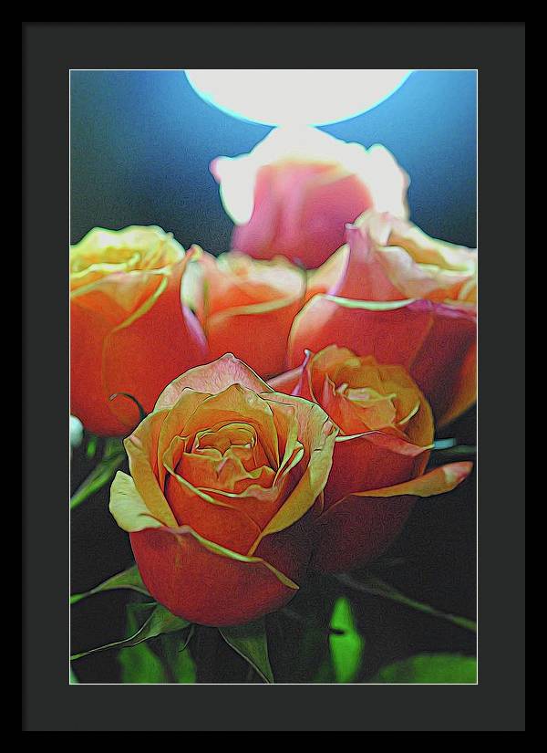 Pinki and Orange Rose Bouquet With Light - Framed Print