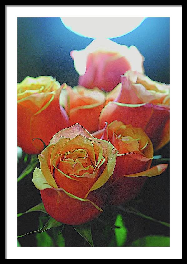 Pinki and Orange Rose Bouquet With Light - Framed Print