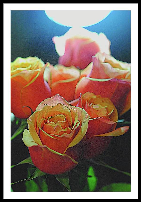 Pinki and Orange Rose Bouquet With Light - Framed Print