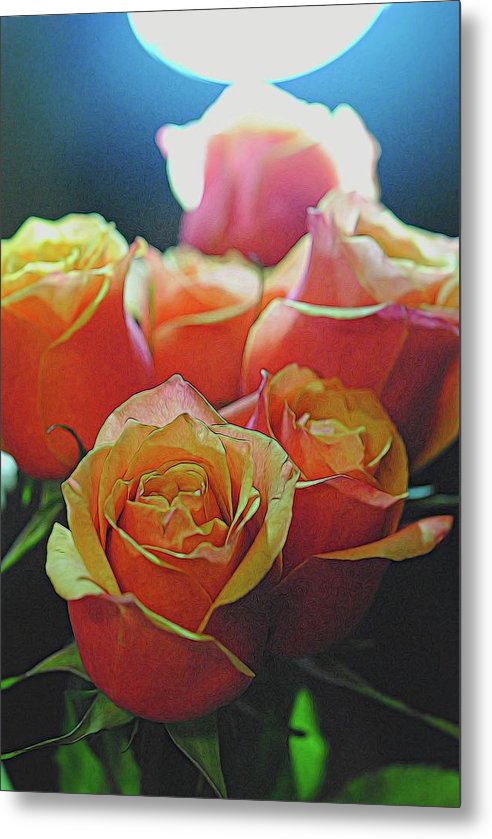 Pinki and Orange Rose Bouquet With Light - Metal Print
