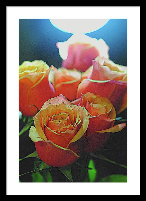 Pinki and Orange Rose Bouquet With Light - Framed Print