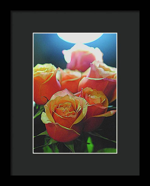 Pinki and Orange Rose Bouquet With Light - Framed Print