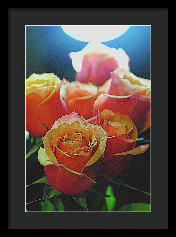 Pinki and Orange Rose Bouquet With Light - Framed Print