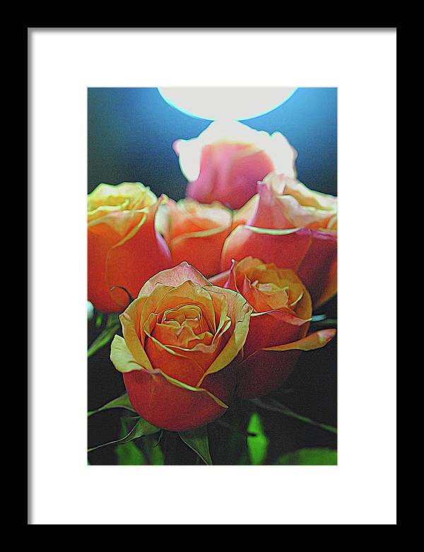 Pinki and Orange Rose Bouquet With Light - Framed Print