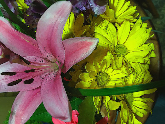Pink Lily Yellow Daisy Digital Image Download