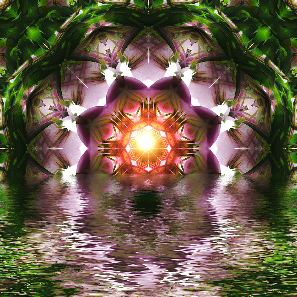 Pink Lotus On The Water Digital Image Download