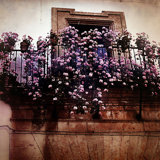 Vintage Travel Pink Roses on Balcony Digital Image Download