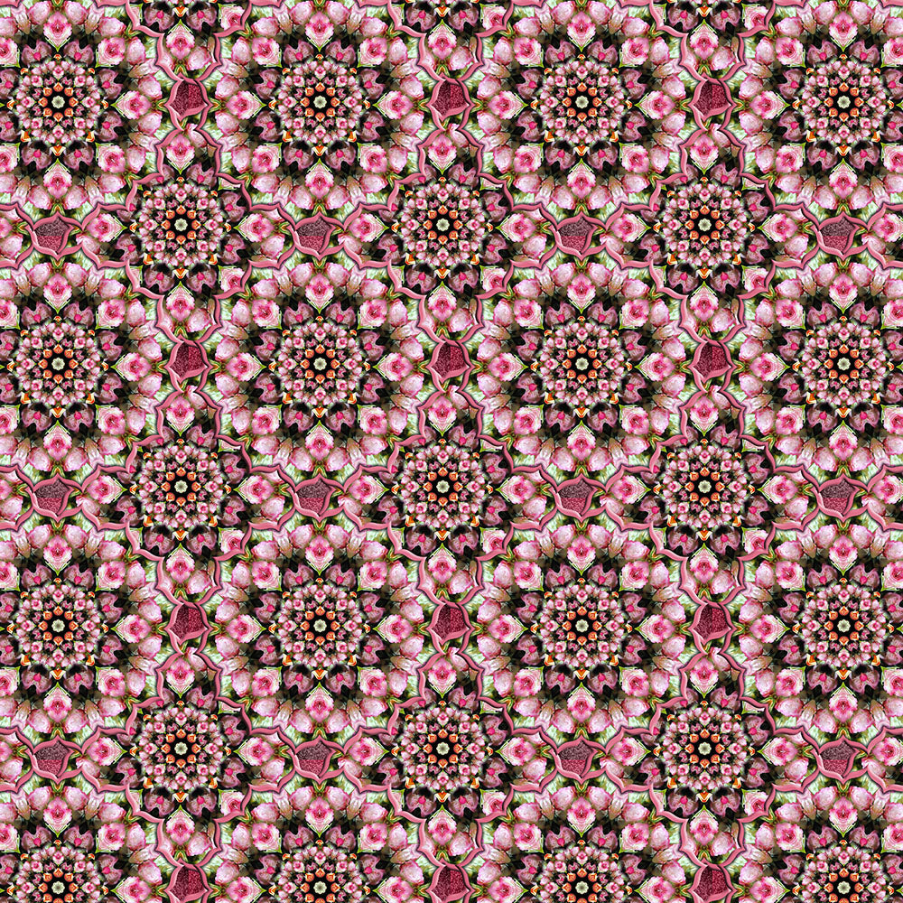 Pink Tea Rose Kaleidoscope Digital Image Download