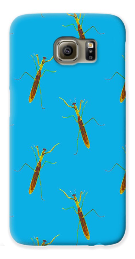 Praying Mantis Pattern - Phone Case