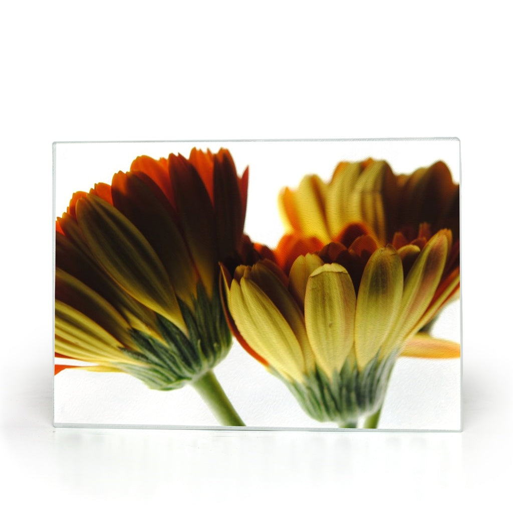 Daisy Undersides Glass Cutting Boards