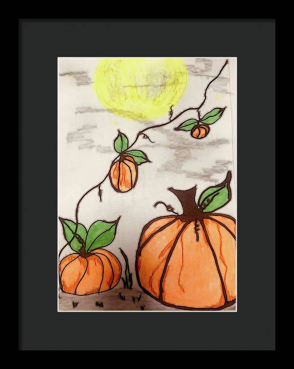 Pumpkin Patch - Framed Print