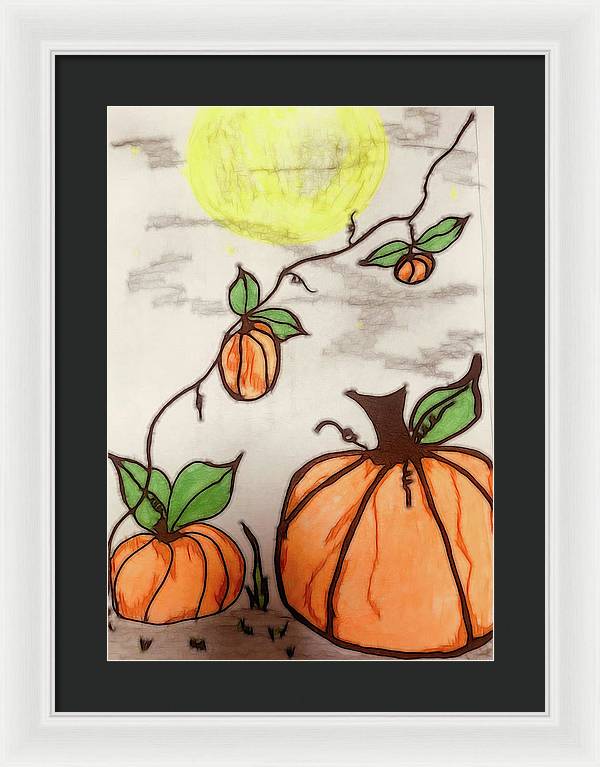 Pumpkin Patch - Framed Print