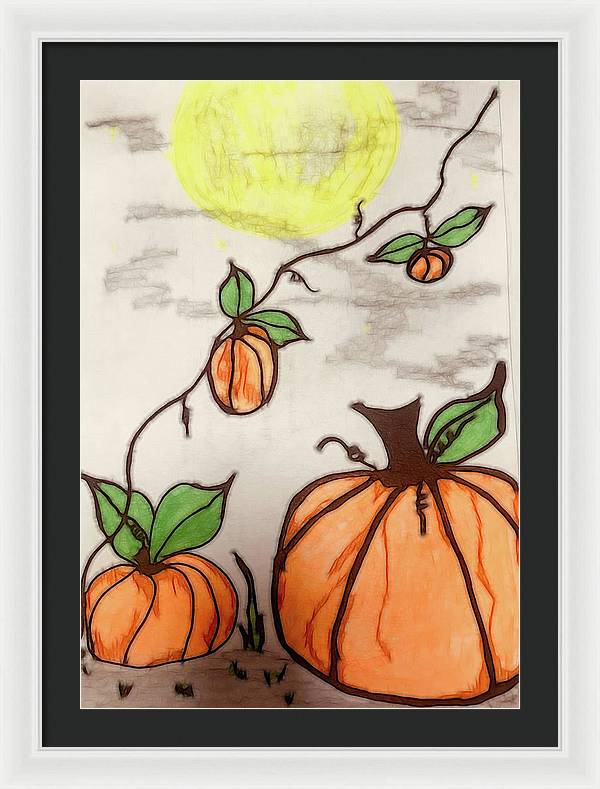 Pumpkin Patch - Framed Print