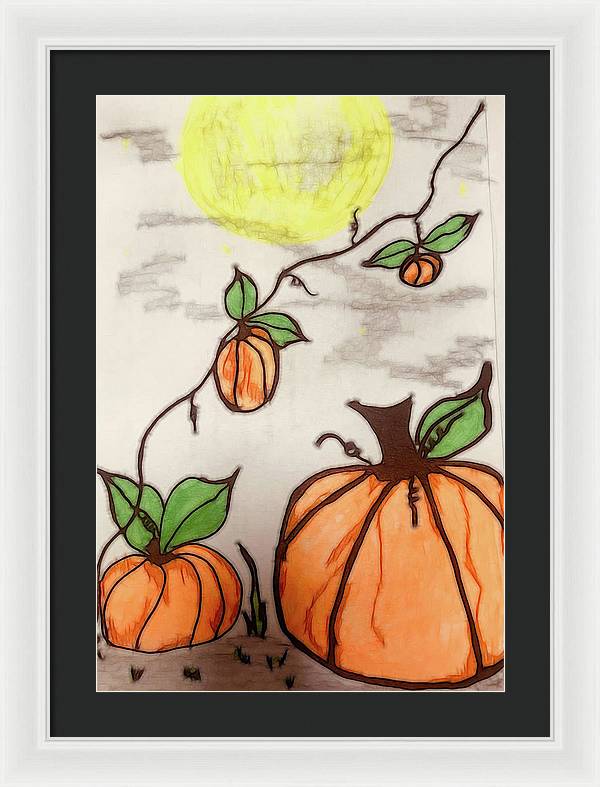 Pumpkin Patch - Framed Print