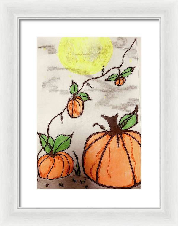 Pumpkin Patch - Framed Print