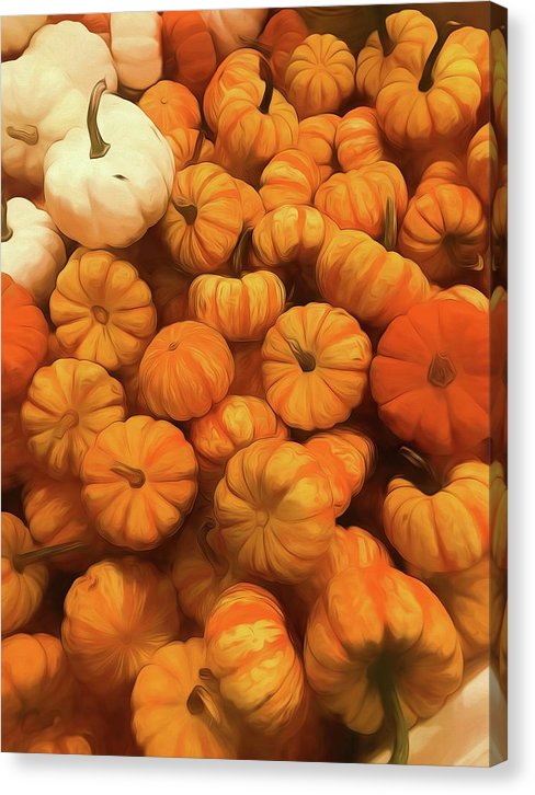 Pumpkins Tiny Gourds Pile - Canvas Print