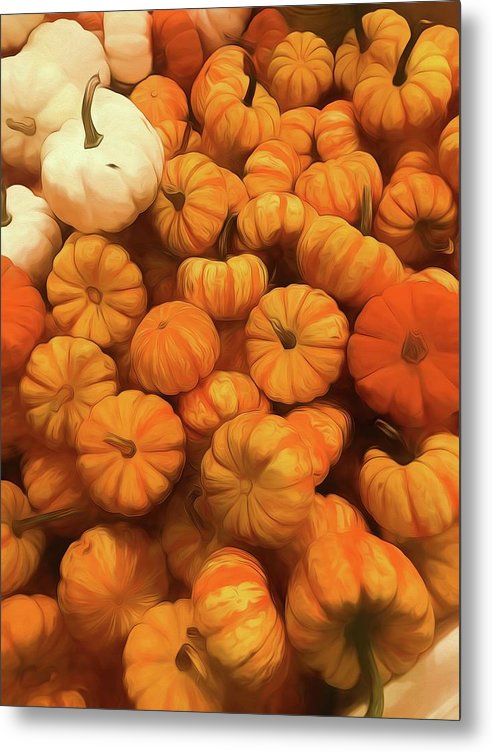 Pumpkins Tiny Gourds Pile - Metal Print
