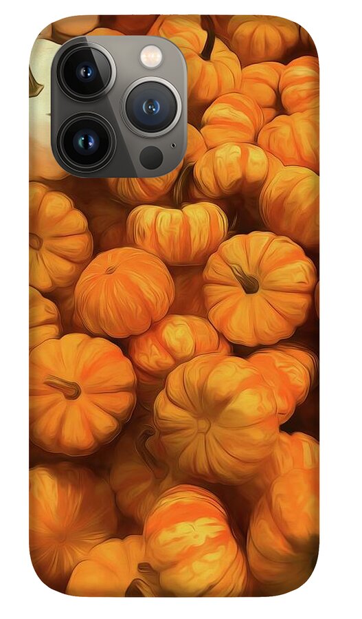 Pumpkins Tiny Gourds Pile - Phone Case