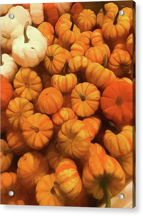 Pumpkins Tiny Gourds Pile - Acrylic Print
