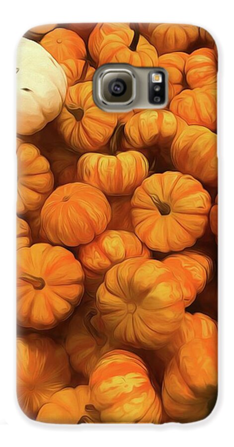 Pumpkins Tiny Gourds Pile - Phone Case