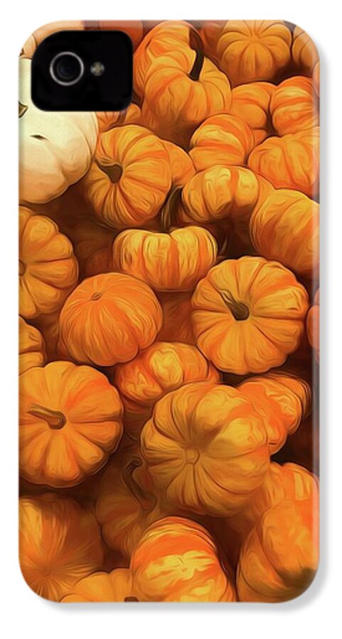 Pumpkins Tiny Gourds Pile - Phone Case