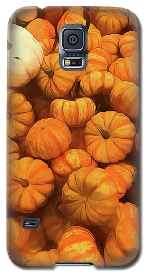 Pumpkins Tiny Gourds Pile - Phone Case