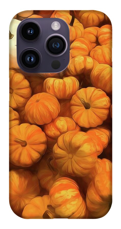 Pumpkins Tiny Gourds Pile - Phone Case