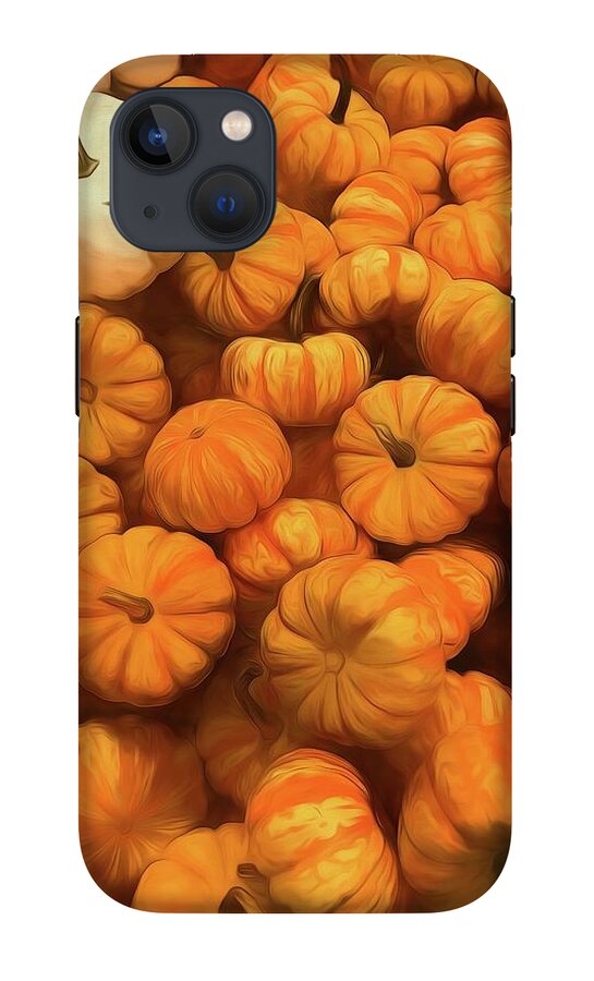 Pumpkins Tiny Gourds Pile - Phone Case