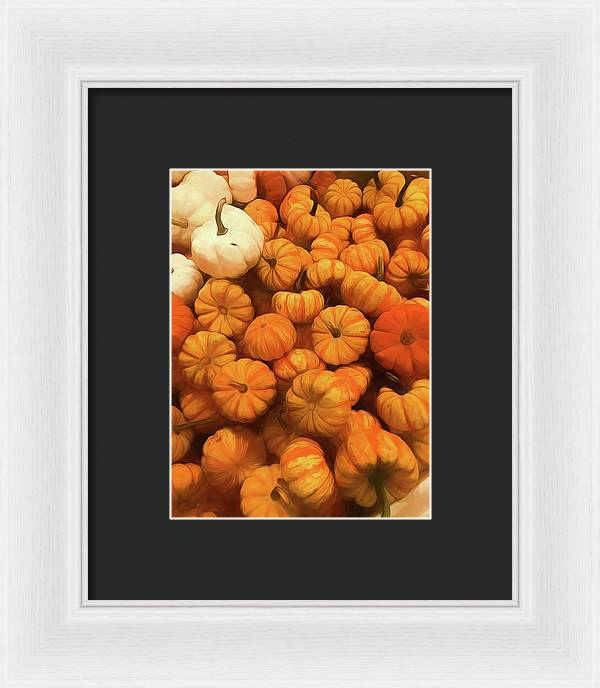 Pumpkins Tiny Gourds Pile - Framed Print