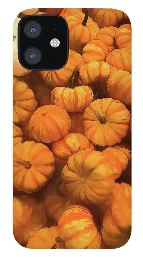 Pumpkins Tiny Gourds Pile - Phone Case