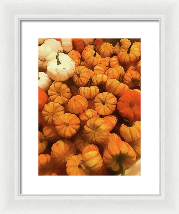 Pumpkins Tiny Gourds Pile - Framed Print