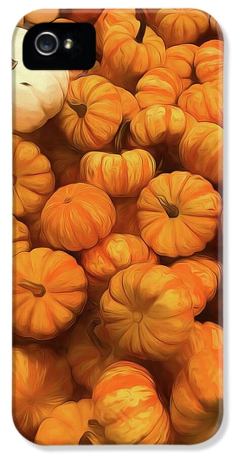 Pumpkins Tiny Gourds Pile - Phone Case