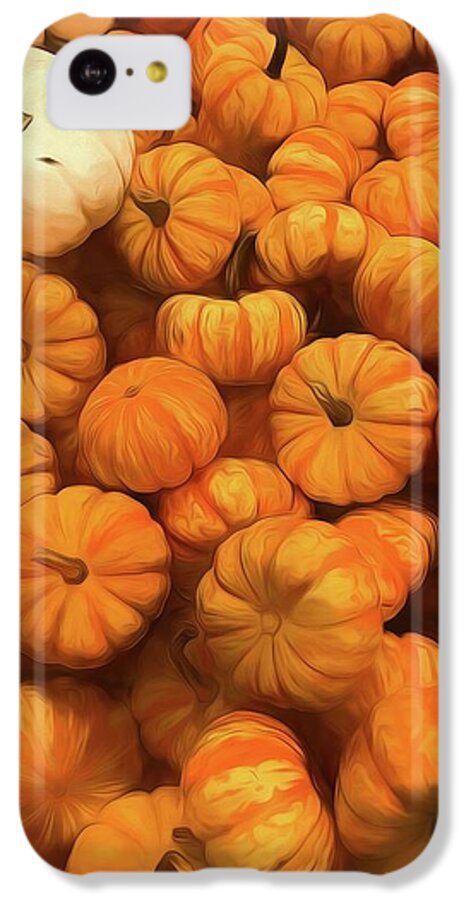 Pumpkins Tiny Gourds Pile - Phone Case