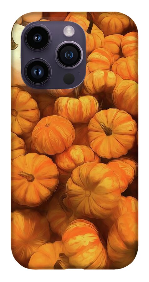 Pumpkins Tiny Gourds Pile - Phone Case