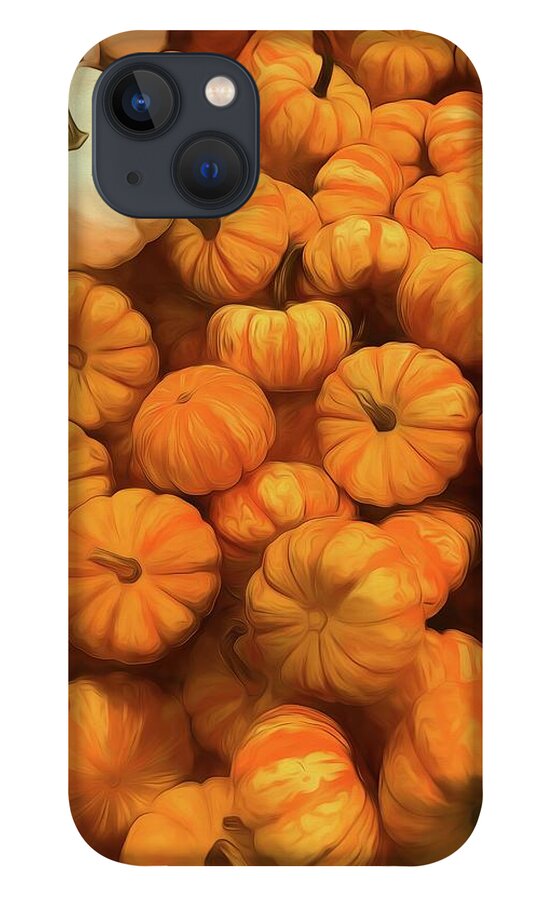 Pumpkins Tiny Gourds Pile - Phone Case