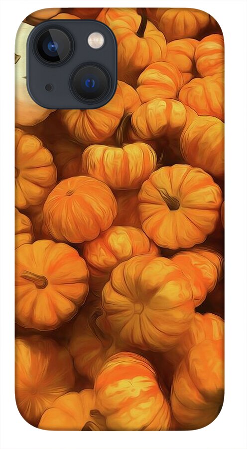 Pumpkins Tiny Gourds Pile - Phone Case