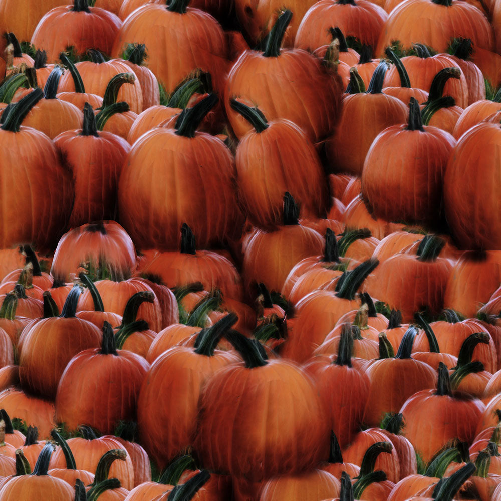 Pumpkins Seamless Tile Digital Image Download