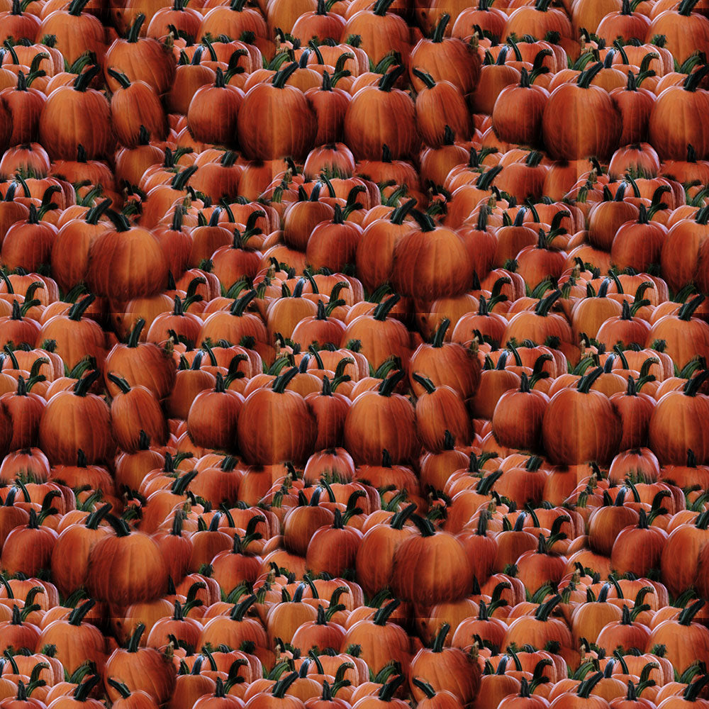 Pumpkins Seamless Tile Digital Image Download