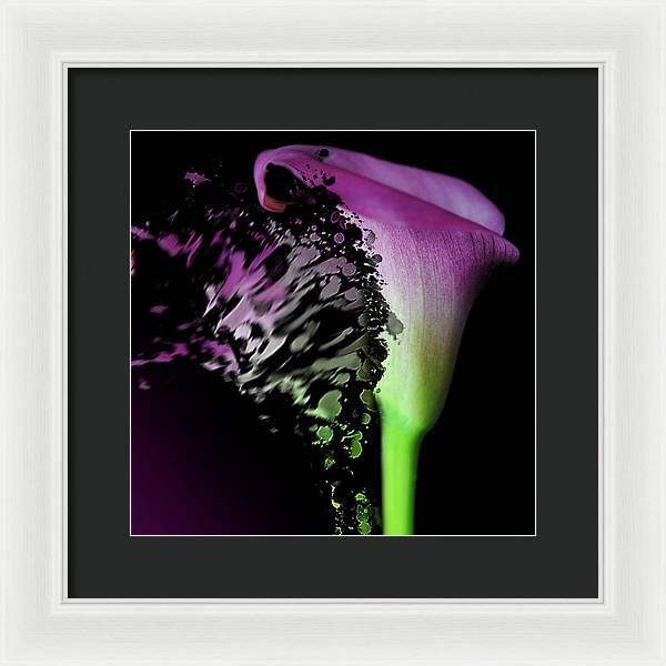 Purple Calla Lily Departs - Framed Print