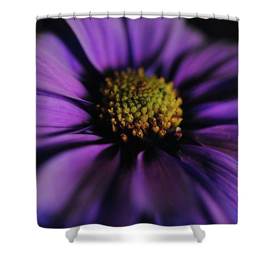 Purple Daisy - Shower Curtain