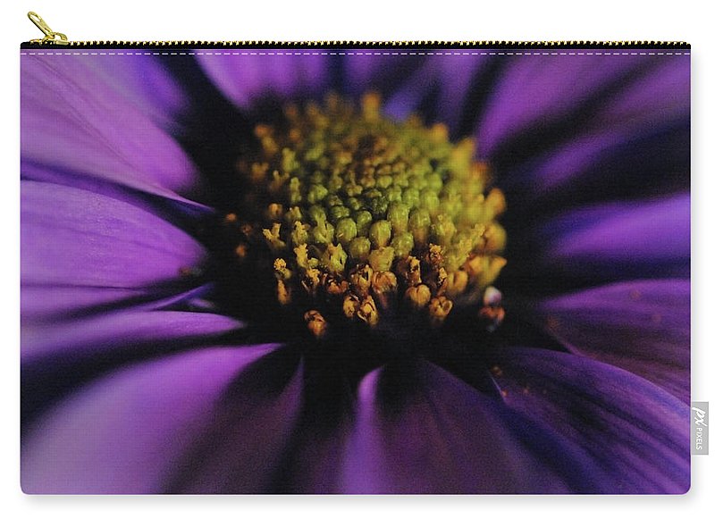 Purple Daisy - Carry-All Pouch