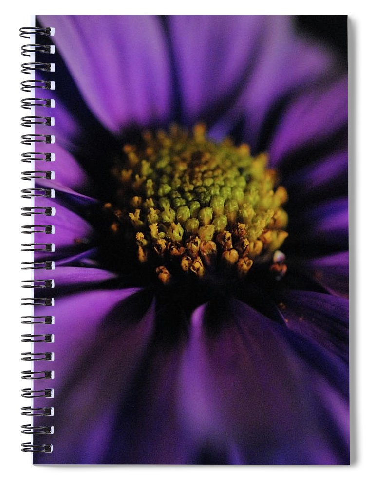 Purple Daisy - Spiral Notebook