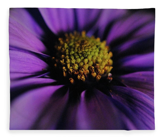 Purple Daisy - Blanket