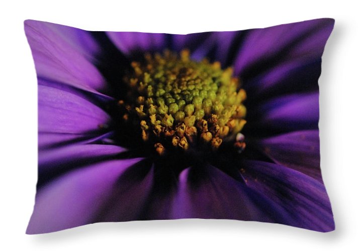 Purple Daisy - Throw Pillow