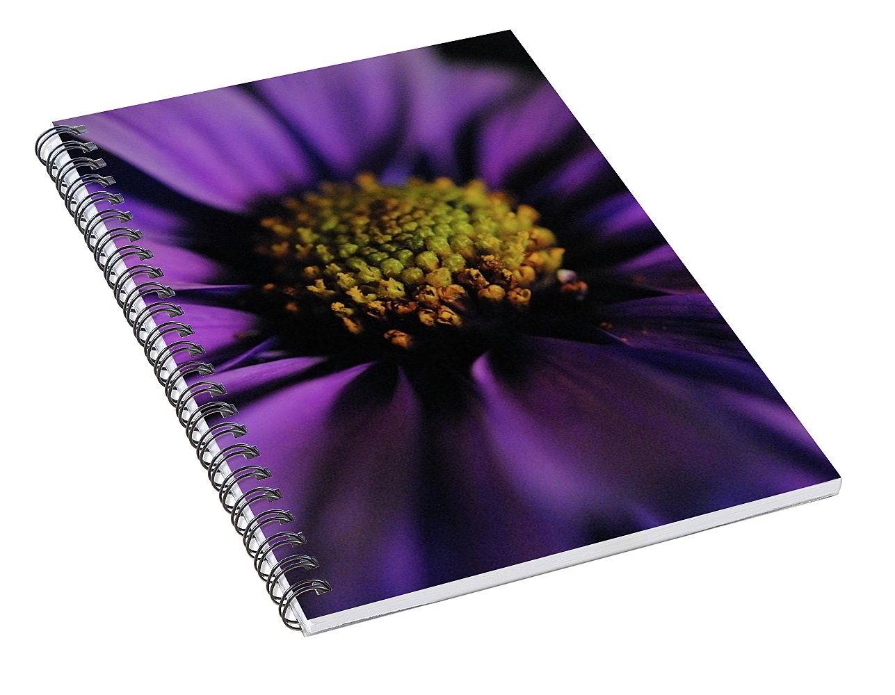Purple Daisy - Spiral Notebook