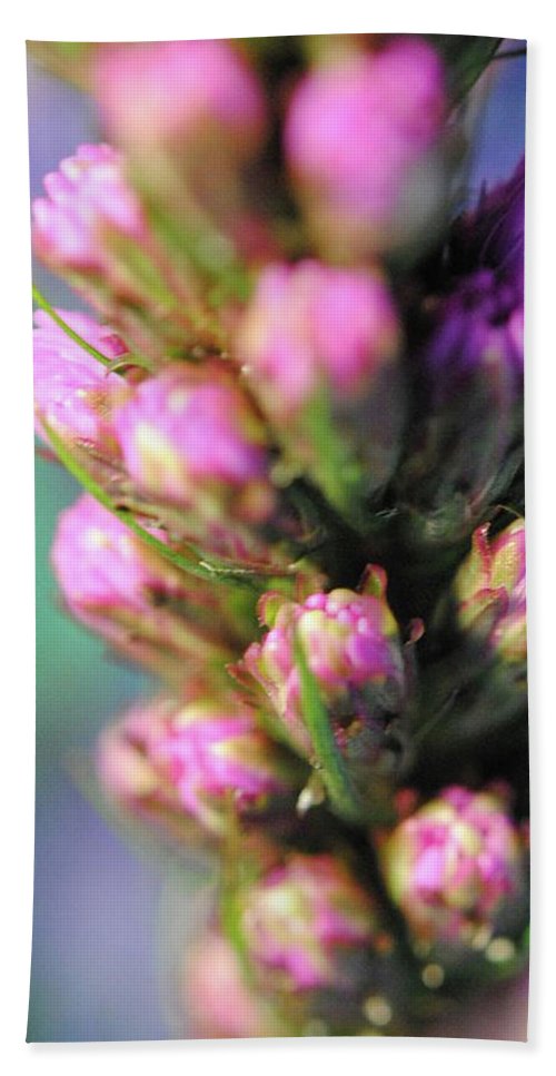 Purple Liatris - Beach Towel