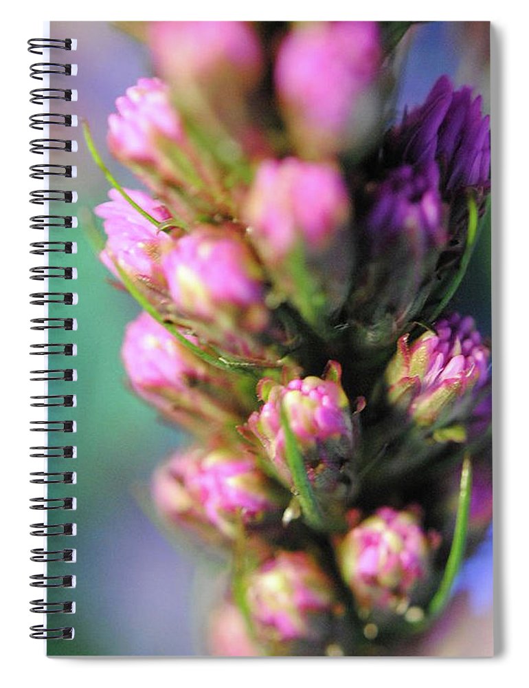 Purple Liatris - Spiral Notebook