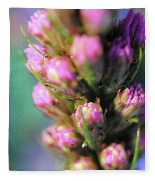 Purple Liatris - Blanket