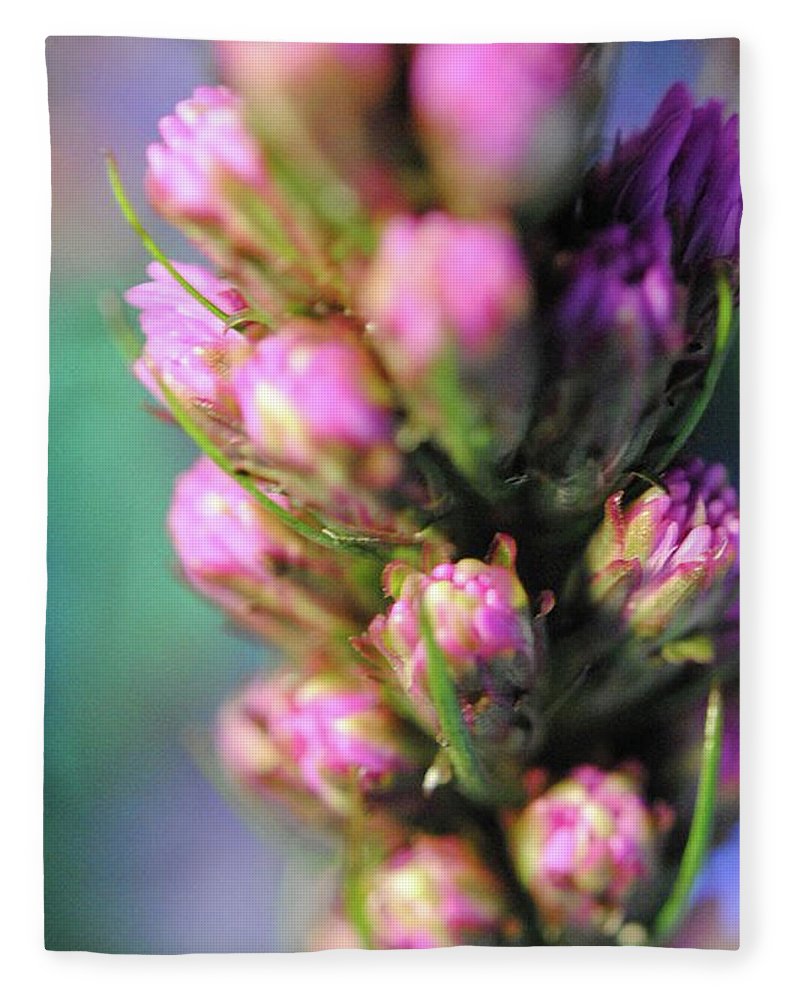 Purple Liatris - Blanket